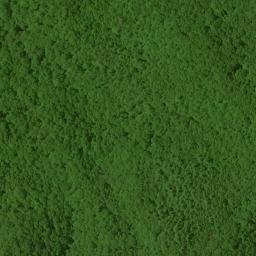 Satellite imagery of Rough Ridge, US