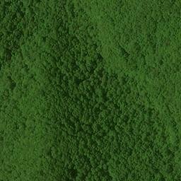 Satellite imagery of Rough Ridge, US