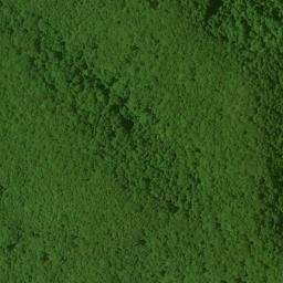 Satellite imagery of Fork Ridge, US