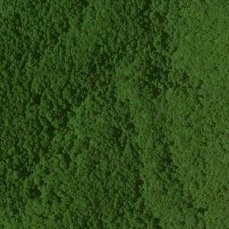 Satellite imagery of Fork Ridge, US