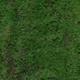 Satellite imagery of Wild Hog Ridge, US