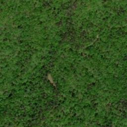Satellite imagery of Wild Hog Ridge, US