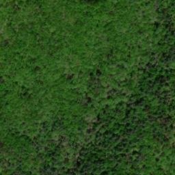 Satellite imagery of Wild Hog Ridge, US
