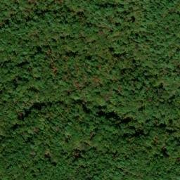 Satellite imagery of Chattooga Ridge, US