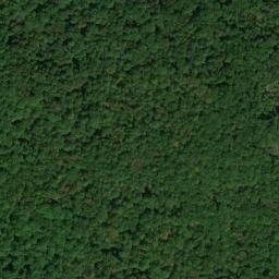 Satellite imagery of Hicks Point, US