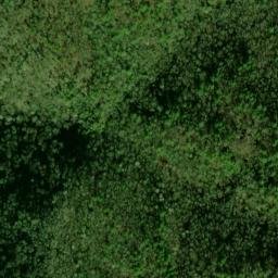 Satellite imagery of Panther Bluff, US