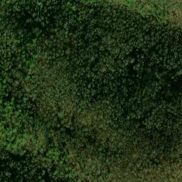 Satellite imagery of Panther Bluff, US