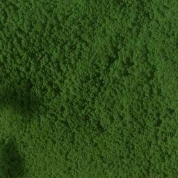 Satellite imagery of Kelly Ridge, US