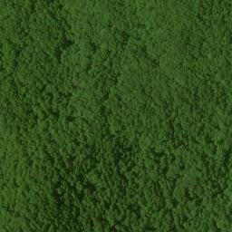 Satellite imagery of Rough Ridge, US