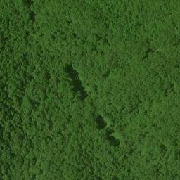 Satellite imagery of Fork Ridge, US