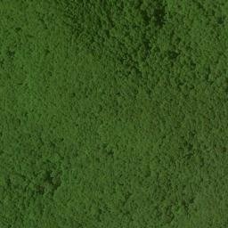 Satellite imagery of Fork Ridge, US