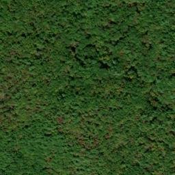 Satellite imagery of Chattooga Ridge, US