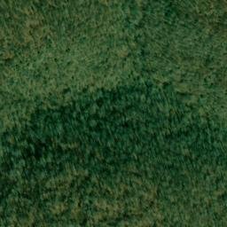 Satellite imagery of Beshears Point, US