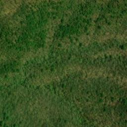 Satellite imagery of Buck Ridge, US