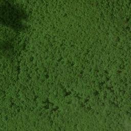 Satellite imagery of Kelly Ridge, US