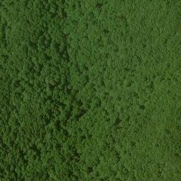 Satellite imagery of Cut Locust Ridge, US