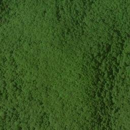 Satellite imagery of Slank Ridge, US