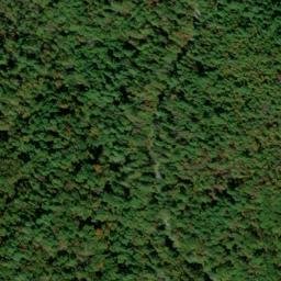 Satellite imagery of Chattooga Ridge, US
