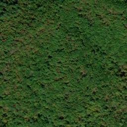 Satellite imagery of Chattooga Ridge, US