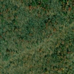 Satellite imagery of McCrary Point, US