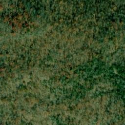 Satellite imagery of McCrary Point, US