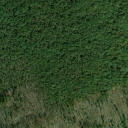 Satellite imagery of Hicks Point, US