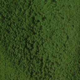 Satellite imagery of Cut Locust Ridge, US