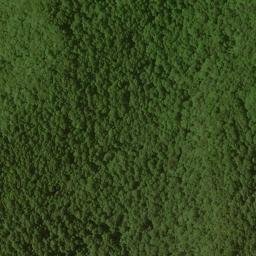 Satellite imagery of Slank Ridge, US