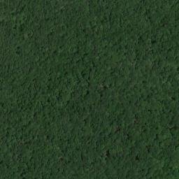 Satellite imagery of Cagle Point, US