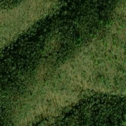 Satellite imagery of Yellow Lead, US