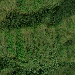 Satellite imagery of Yellow Lead, US