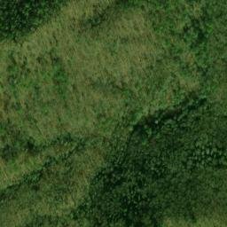 Satellite imagery of Yellow Lead, US