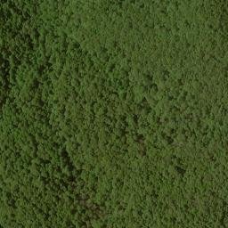 Satellite imagery of Slank Ridge, US