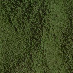 Satellite imagery of Slank Ridge, US