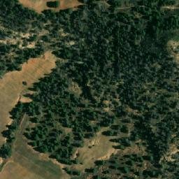 Satellite imagery of Oum Debbane, DZ