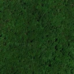 Satellite imagery of High Point, US