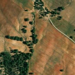 Satellite imagery of Oum Debbane, DZ