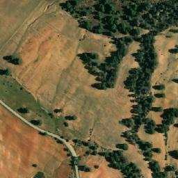 Satellite imagery of Oum Debbane, DZ