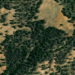 Satellite imagery of Oum Debbane, DZ