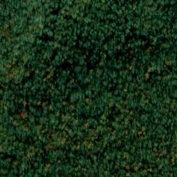 Satellite imagery of Piney Point, US
