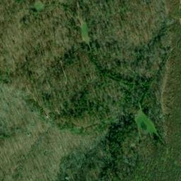 Satellite imagery of Brewer Point, US