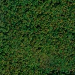 Satellite imagery of High Point, US