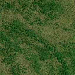 Satellite imagery of Buzzard Roost Ridge, US