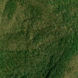 Satellite imagery of Blue Bluff, US