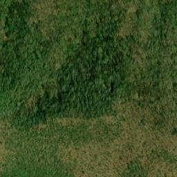 Satellite imagery of Blue Bluff, US