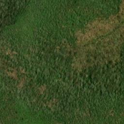 Satellite imagery of Fork Ridge, US