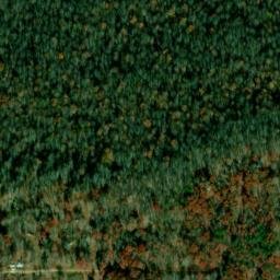 Satellite imagery of Piney Point, US