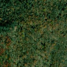 Satellite imagery of Piney Point, US