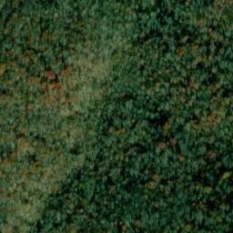 Satellite imagery of Piney Point, US