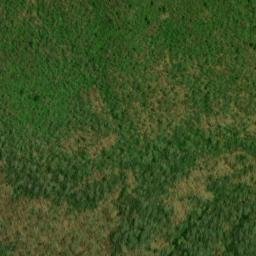 Satellite imagery of Fork Ridge, US